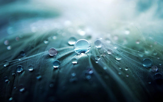 Structured Water is Life