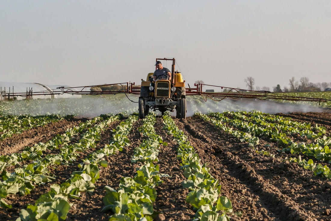 Structured Water use in Agriculture and Wellbeing