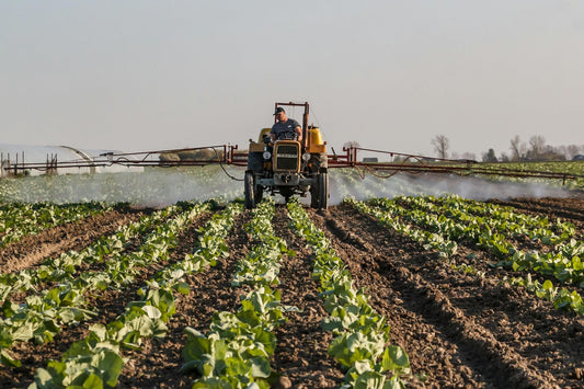 Structured Water use in Agriculture and Wellbeing