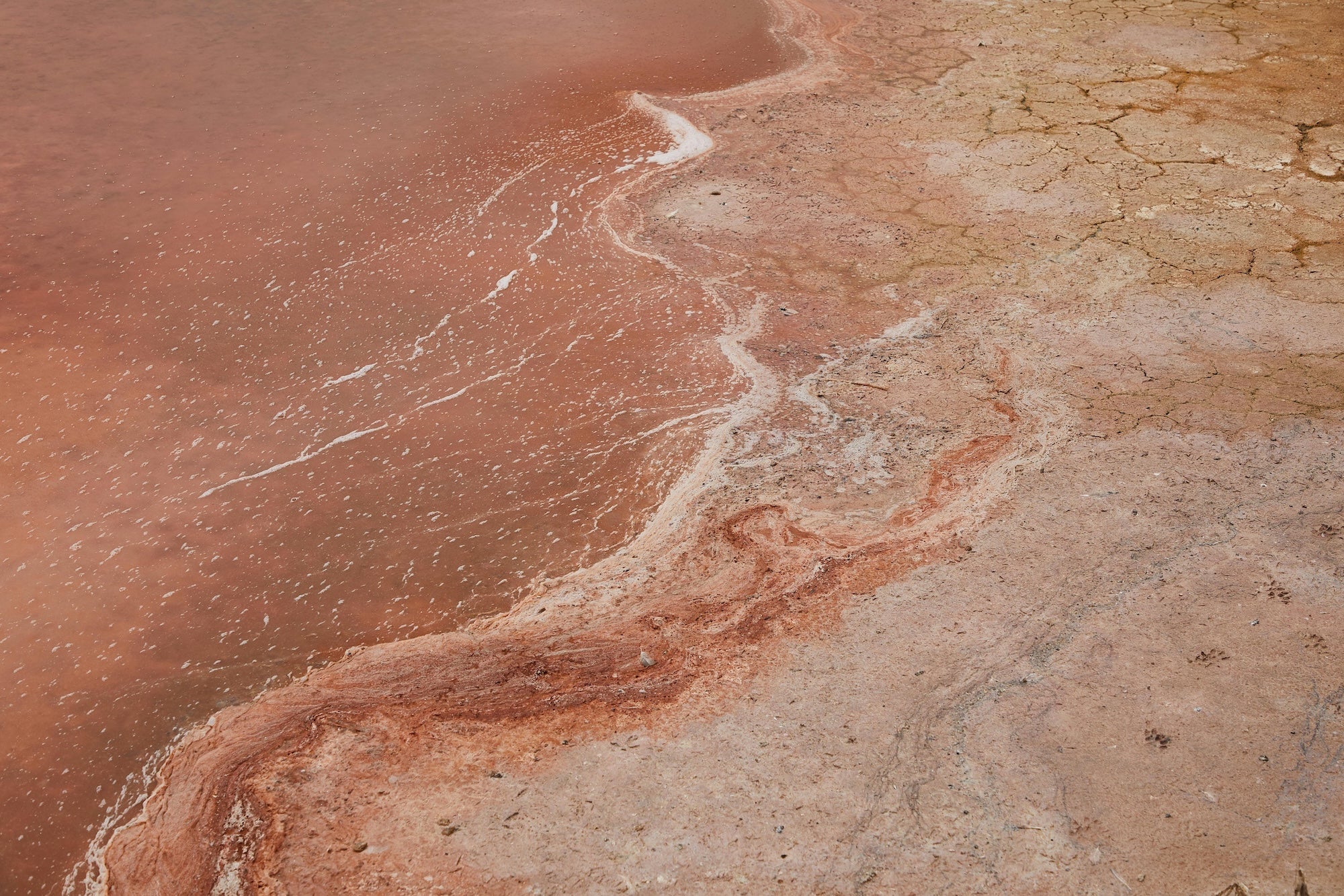 Red Mud Treatment with a MEA Water device